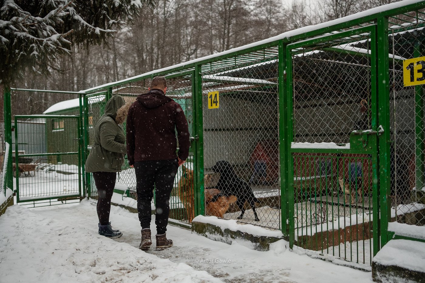 Ruszyli na pomoc zmarzniętym zwierzakom [fotorelacja]