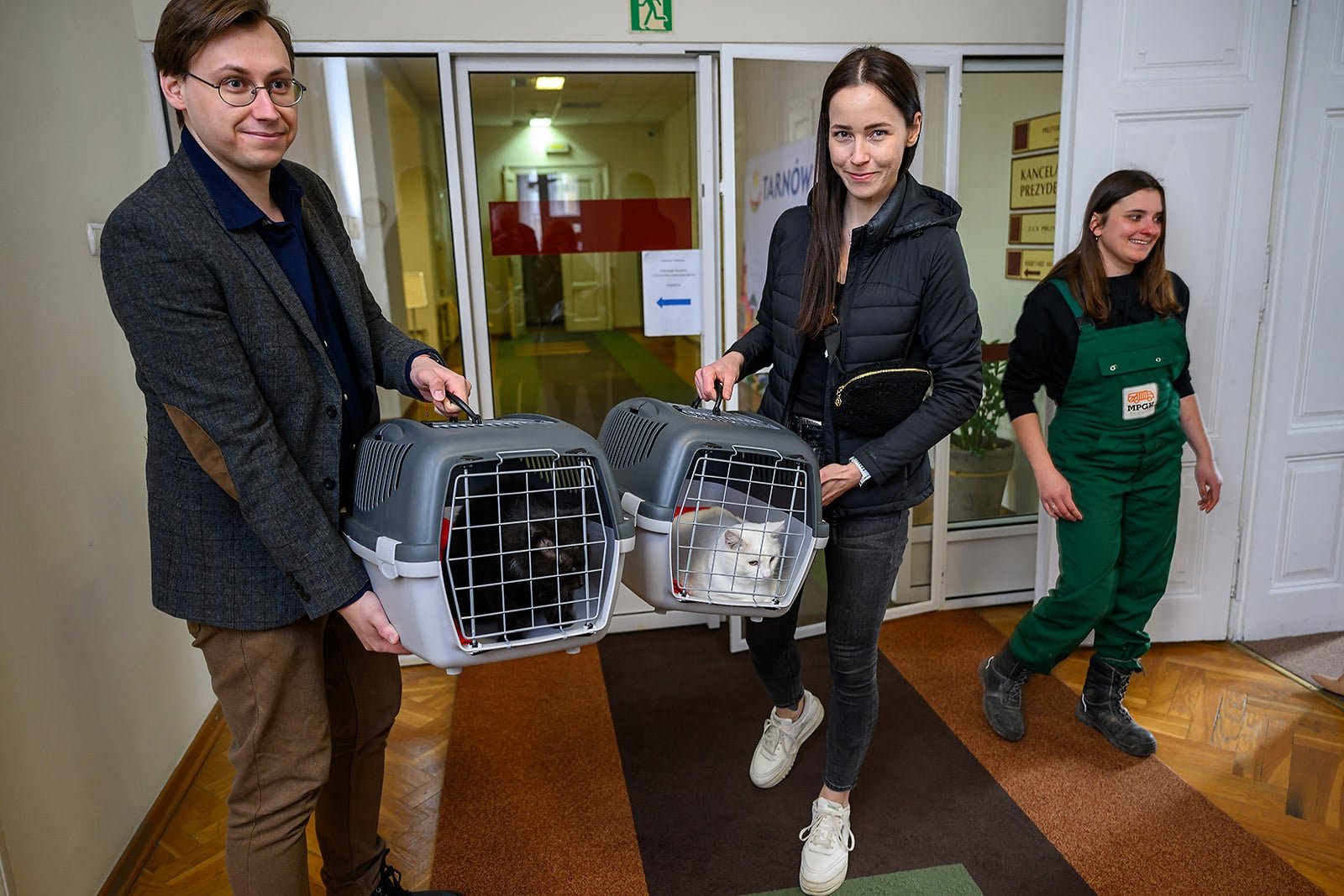 Chmurka i Oreo – dwa koty zamieszkały w Urzędzie Miasta Tarnowa