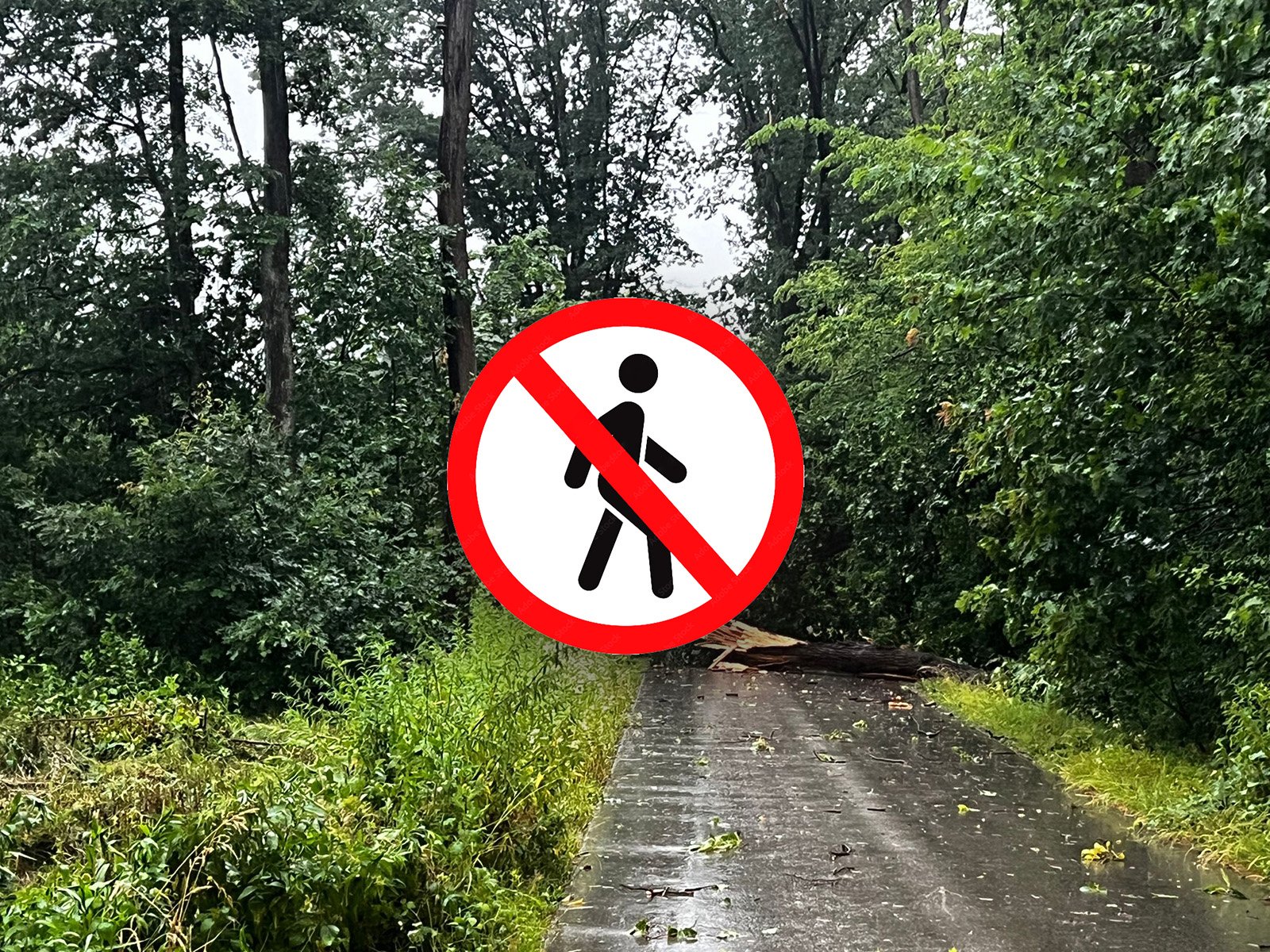 Leśne zniszczenia po wichurze – Nadleśnictwo wprowadza zakaz wstępu