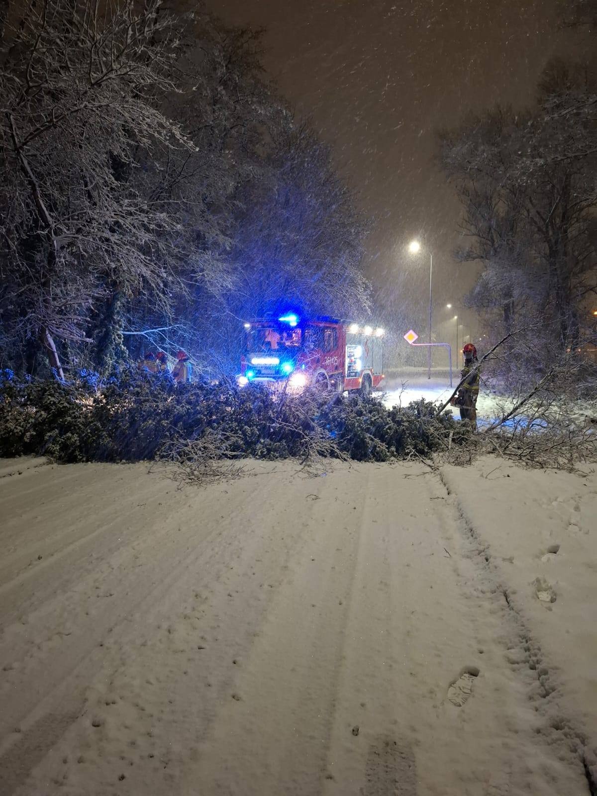 Kilkaset interwencji służb po weekendowych śnieżycach